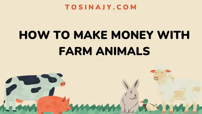 How to make money with farm animals - Tosinajy
