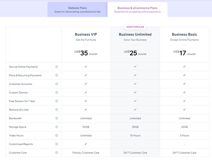 Wix Business and ecommerce Plans Tosinajy