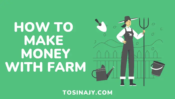 How to make money with farm - Tosinajy
