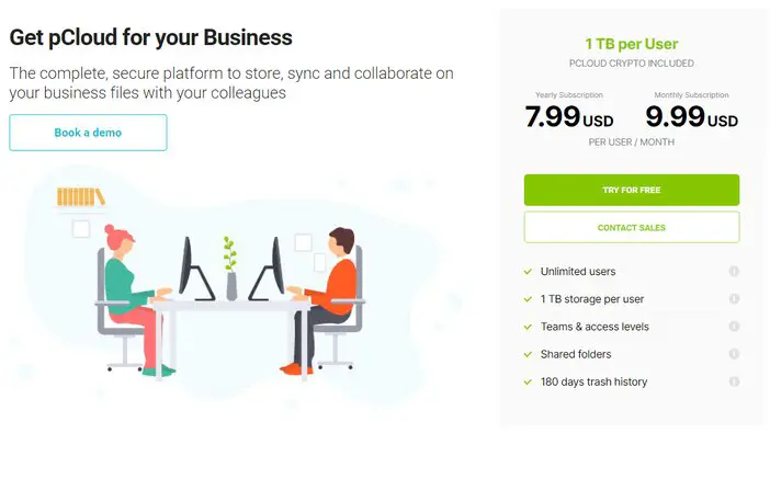 pCloud business pricing tosinajy