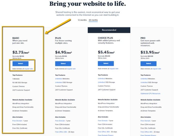 Selecting Bluehost Basic Plan Tosinajy