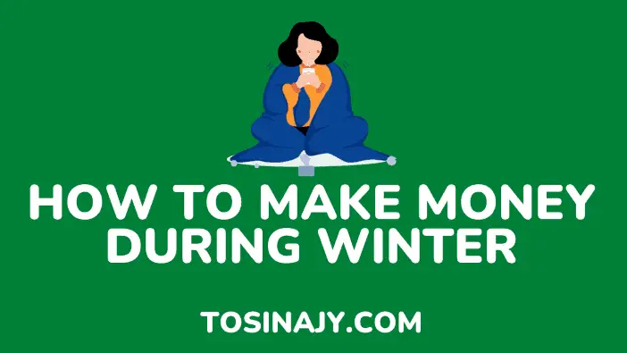 how to make money during winter - tosinajy