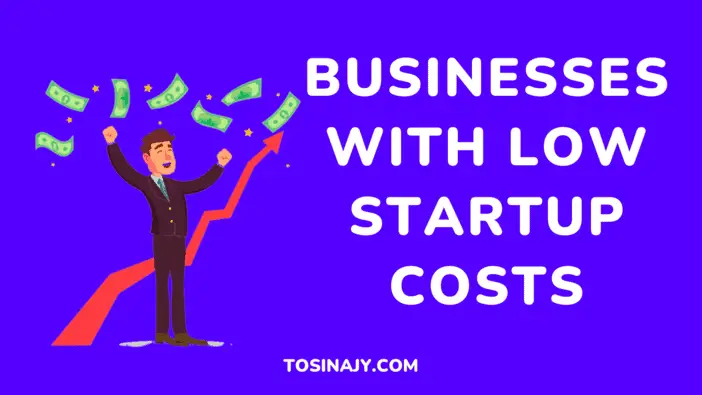 Businesses with Low Startup Costs - Tosinajy