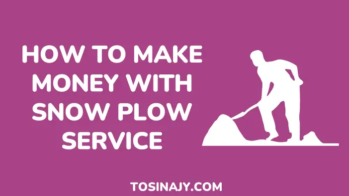 How to make money with snow plow service - Tosinajy