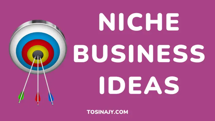 Niche Business Ideas - Tosinajy