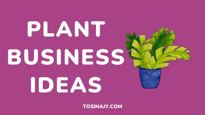 Plant Business Ideas - Tosinajy