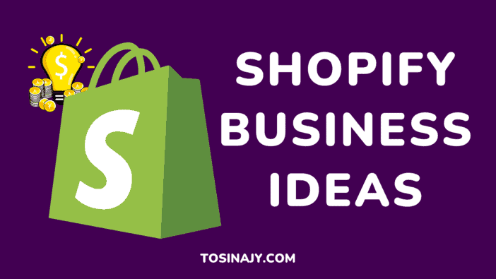 Shopify Business Ideas - Tosinajy