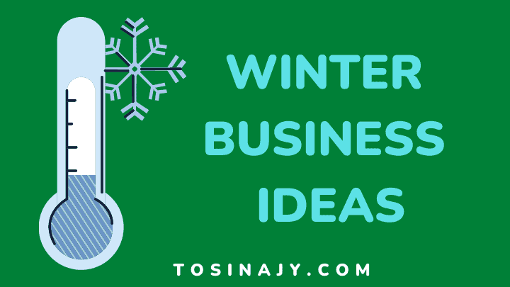 Winter business ideas - Tosinajy