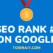 Google Search Engine Optimization - Tosinajy
