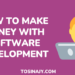 How to make money with software development - tosinajy