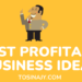 Most Profitable Business ideas